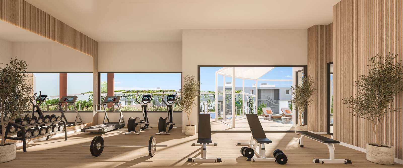 Core Higuerón Fase II